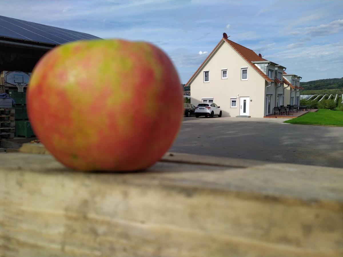 Ferienhof Dachsberg Wohnung Sundowner Bermatingen Buitenkant foto